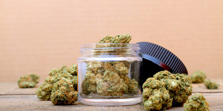 Federal Shift in Marijuana Policy Marks Historic Rescheduling