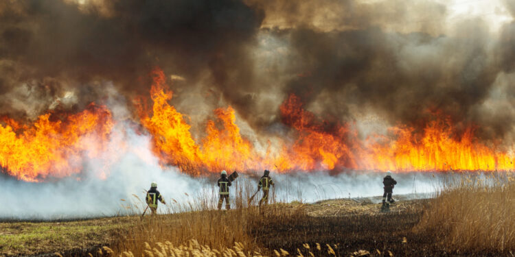 Wildfires Rage in Canada: Thousands Evacuate, U.S. States Face Smoke Hazards