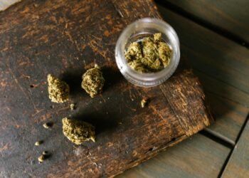 Governor Hochul Updates on Cannabis Regulation Efforts Following Successful Crackdown on Illegal Shops