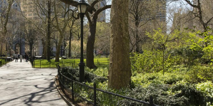 NYPD Cracks Down on Teen Muggings in Central Park Amid Surge in Crime