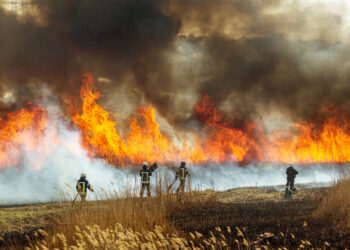 Canadian Wildfire Smoke Brings Hazy Skies to Tri-State Area