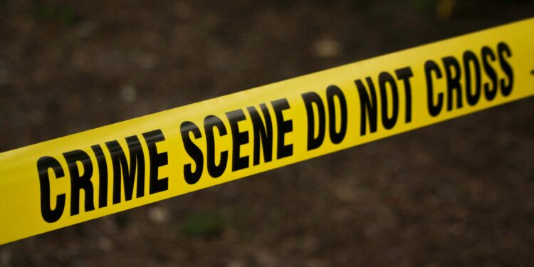 Georgia High School Shooting Leaves Four Dead with Suspect in Custody