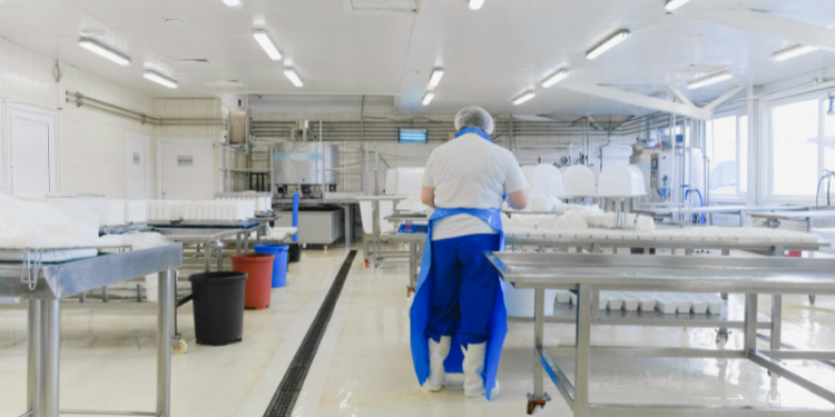 CDC Expands Bird Flu Testing for Dairy Workers Amid Asymptomatic Infections