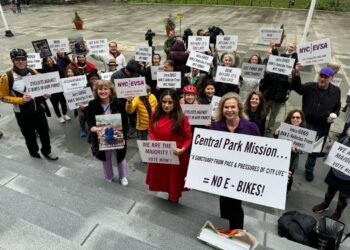 Exclusive Interview with NYC EVSA Co-Founder Janet Schroeder on the Fight for Safer Streets