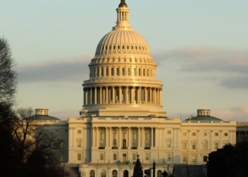 Laken Riley Act Passes in the House to Detain Criminal Illegal Immigrants