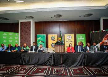 South Africa Withdraws VAT Hike After Coalition Negotiations