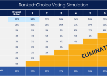 Poll Shows Cuomo Leading Mayoral Race with Strong Black and Latino Support