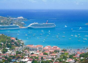 Crew Stabbing Turns Fatal on Royal Caribbean’s Icon of the Seas