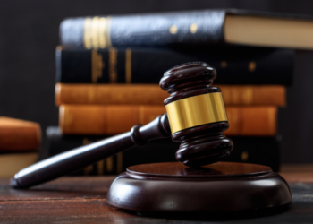 Federal Court Allows ICE to Use Basic Medicaid Data for Immigration Enforcement