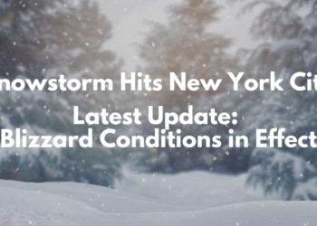NYC Blizzard Hits City with Double-Digit Snowfall, Travel Ban, and Power Outages