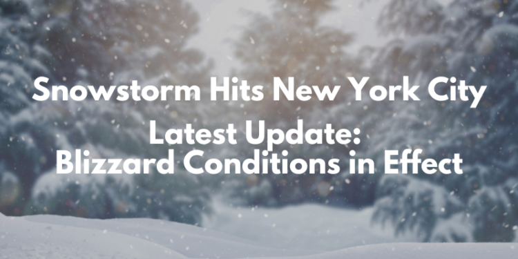 NYC Blizzard Hits City with Double-Digit Snowfall, Travel Ban, and Power Outages