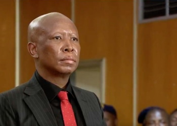 South African Opposition Leader Julius Malema Sentenced to Five Years in Prison Over 2018 Firearm Charges