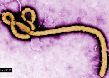 Trump Administration Plans Ebola Care Facility for Americans Exposed in Kenya