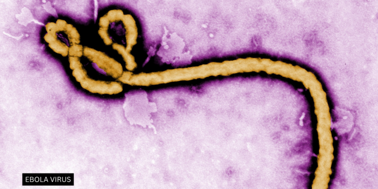 Trump Administration Plans Ebola Care Facility for Americans Exposed in Kenya